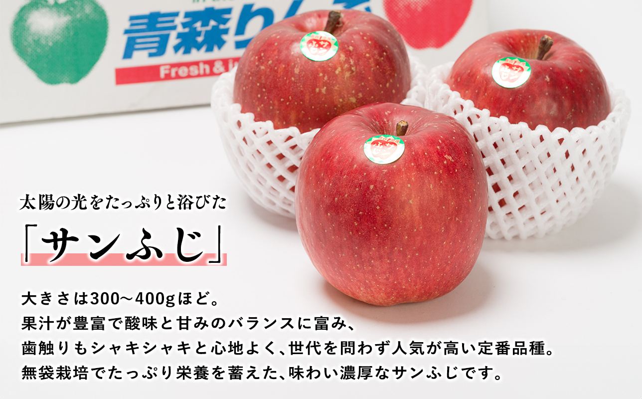 ≪2026年12月発送≫山の完熟サンふじ約3kg 　 【青森県 平川市 吹田りんご園】サンふじ ふじ りんご リンゴ アップル 果物 くだもの フルーツ 平川市産 完熟りんご 