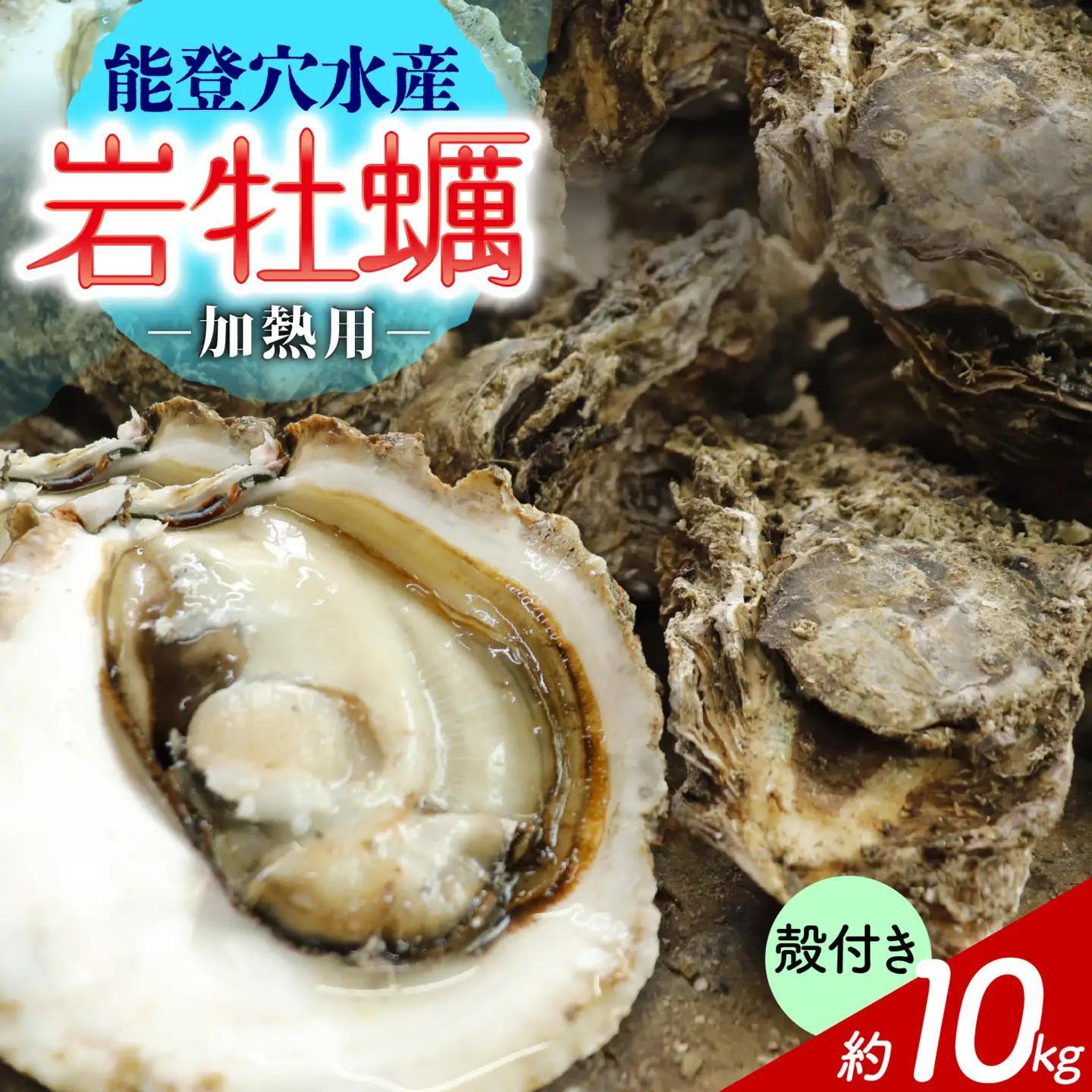 奥能登 河端水産の岩牡蠣 約10kg（殻付き・加熱用）| 岩牡蠣