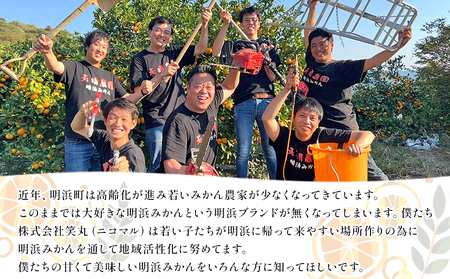 ＜愛媛県明浜産 天晴みかん（温州みかん）約10kg 小玉サイズ＞ 家庭用 訳あり ワケアリ 果物 くだもの フルーツ ミカン 柑橘 特産品 笑丸 愛媛県 西予市【常温】『2026年11月中旬～2027