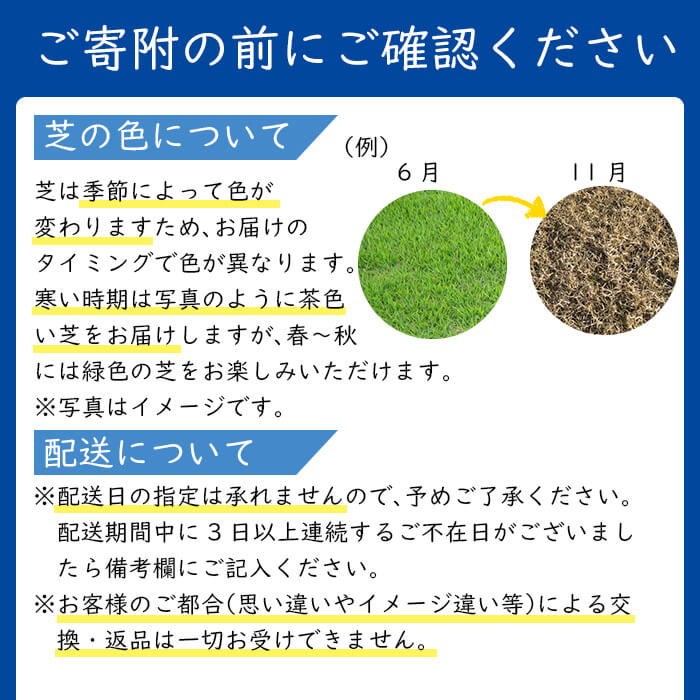 ＜先行予約受付中！R6年11月頃配送予定＞天然芝＜野芝＞2平米! a1-110