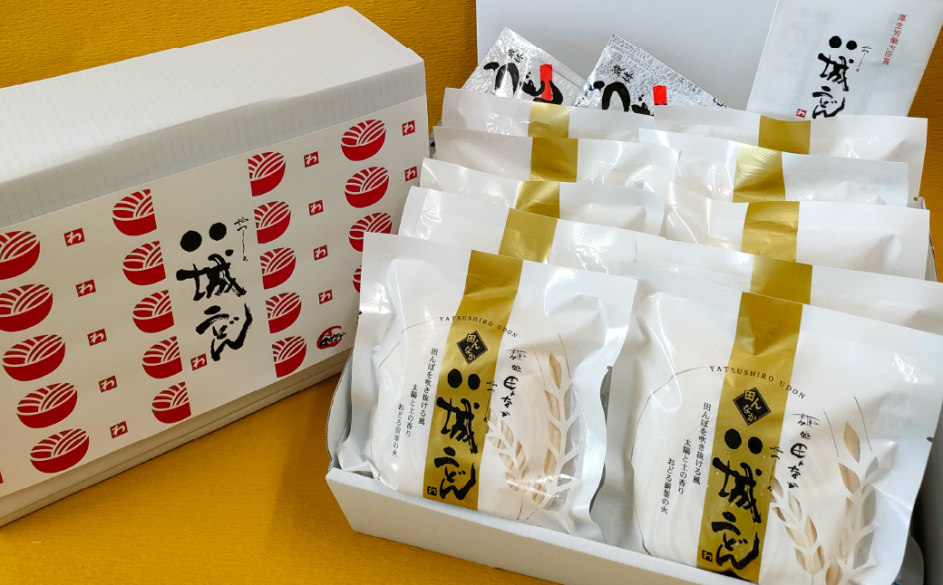 【思いやり型返礼品】八城うどん ギフトセットM 生うどん スープ付 10袋