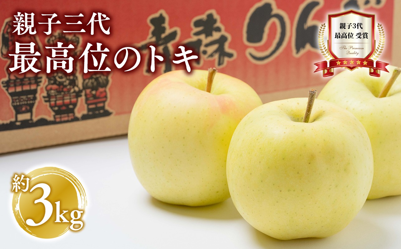
            【10月発送】 親子三代最高位のトキ 約3kg【全国ふじコンテスト最高賞受賞農園 青森県 平川市 釈迦のりんご園】トキ  全国ふじコンテスト最高賞受賞 青森りんご 平川市広船産 家庭用 リンゴ りんご リンゴ 林檎 フルーツ 果物 平川市 青森 
          