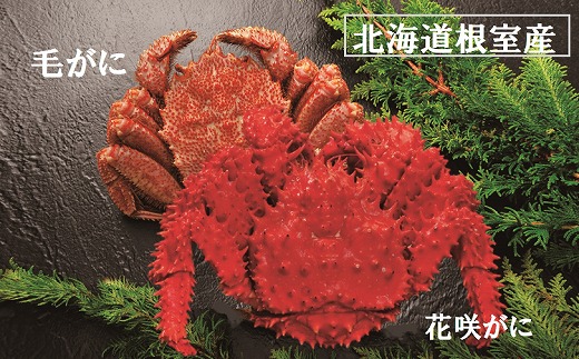 B-01028 【北海道根室産】毛がにと花咲がに