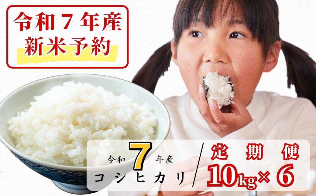 《令和7年産新米予約・10月ごろよりお届け開始》【6回定期便】白米 10kg 令和7年産 コシヒカリ 岡山 あわくら源流米 K-ag-CEDA