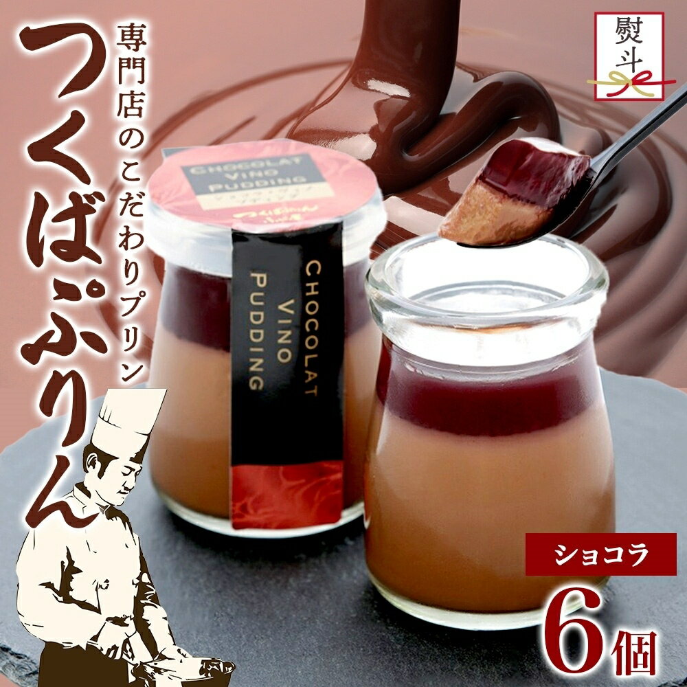 【ふるさと納税】無地熨斗 つくばぷりん ショコラ・ヴィノ・プディング 6個 プリン ぷりん ショコラ チョコレート 牛乳 ミルク 卵 赤ワイン スイーツ 贅沢 洋菓子 おやつ 冷菓 ご褒美 デザート 人気 グルメ お取り寄せ ギフト プレゼント 贈り物 冷蔵 送料無料 ふじ屋