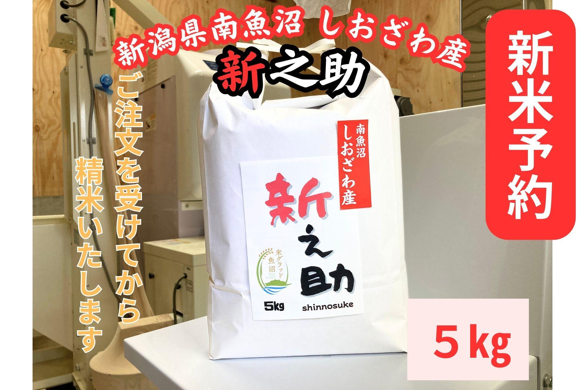 【令和8年産・新米予約】新潟県南魚沼産　新之助　5kg　大粒でツヤがあるこれまでにないお米【銘柄米 ブランド米 精米 新之助 魚沼産 新潟米 産地直送 お米 米 こめ コメ】【2026年10月中旬より1ヶ月以内に順次発送予定】