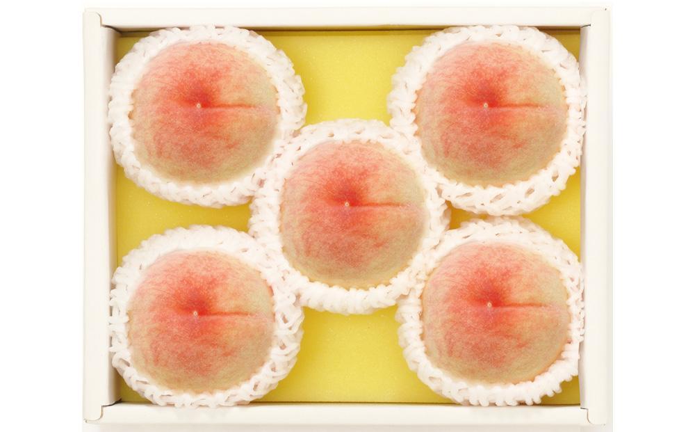 【定期便2回】白桃 4～6玉 約1.1kg（7月発送）・ニューピオーネ 1房 約600g（9月発送）【定期便 白桃 桃 もも モモ ニューピオーネ 葡萄 ぶどう ブドウ 果物 フルーツ 岡山県 倉敷市