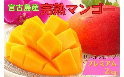 【プレミアム】宮古島産マンゴー2kg ＜リトルグローブ＞（LT006）