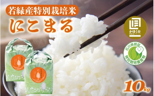 【令和7年産】若緑産 特別栽培米「にこまる」10kg（5kg × 2袋）