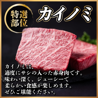 飛騨牛　カイノミステーキ約800g【冷蔵便】A4～A5等級 黒毛和牛 厳選希少部位【配送不可地域：離島】