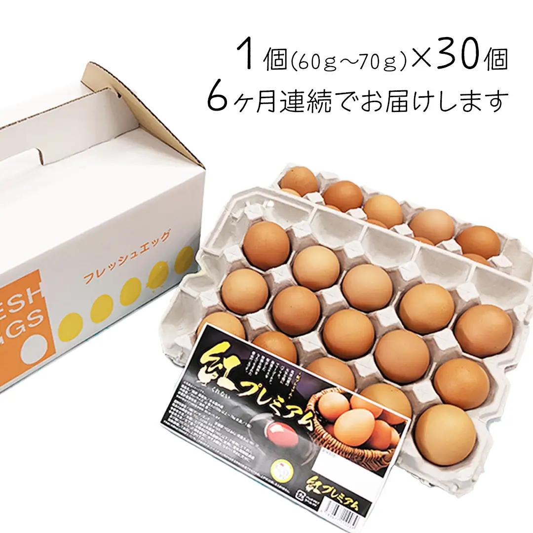 【 定期便 】【 全6回 コース 】紅プレミアム 卵 30個 （ 25個 入り ＋ 割れ保障 5個 ）