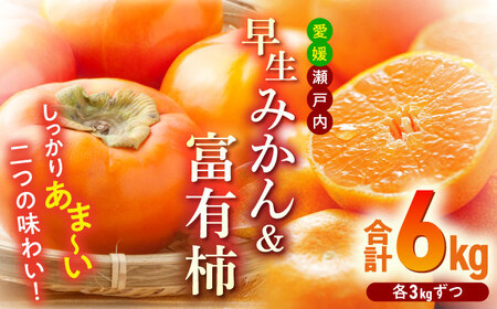 【11月初旬より順次発送】早生みかん 3kg＋富有柿 3kg セット /沢井青果 [AGBN019]柿 果物 フルーツ