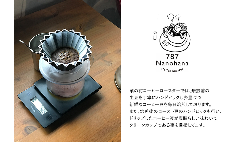 787 Nanohana Coffee Roaster ６種お任せセット 各100g(豆or粉) 浅煎り 中煎り 深煎り コーヒー 珈琲 おすすめ 人気【豆】