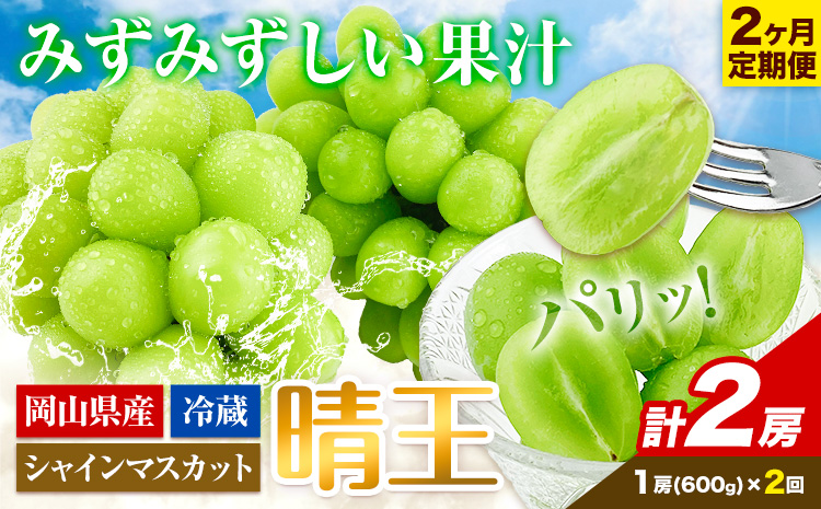 ぶどう 2ヶ月 定期便 [2026年先行予約] シャインマスカット 晴王 1房 約600g 岡山県産《9月上旬-10月末頃出荷(土日祝除く)》 ハレノフルーツ マスカット 送料無料 岡山県 浅口市 フルーツ 果物 贈り物 ギフト 国産 岡山県産 くだもの 【配送不可地域あり】（北海道・沖縄・離島）a-1
