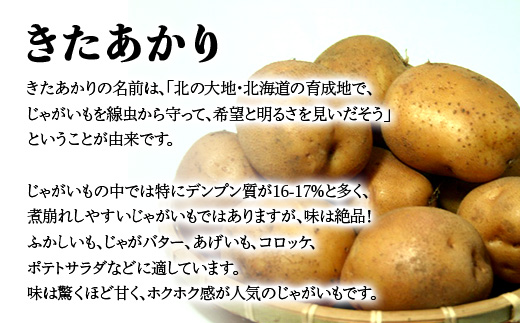 【先行予約】【訳あり】北海道森町産 じゃがいも福袋20kg （2024年8月上旬～12月中旬までに順次お届け） 野菜 ジャガイモ じゃがいも きたあかり だんしゃく 男爵いも とうや メークイン ポテ