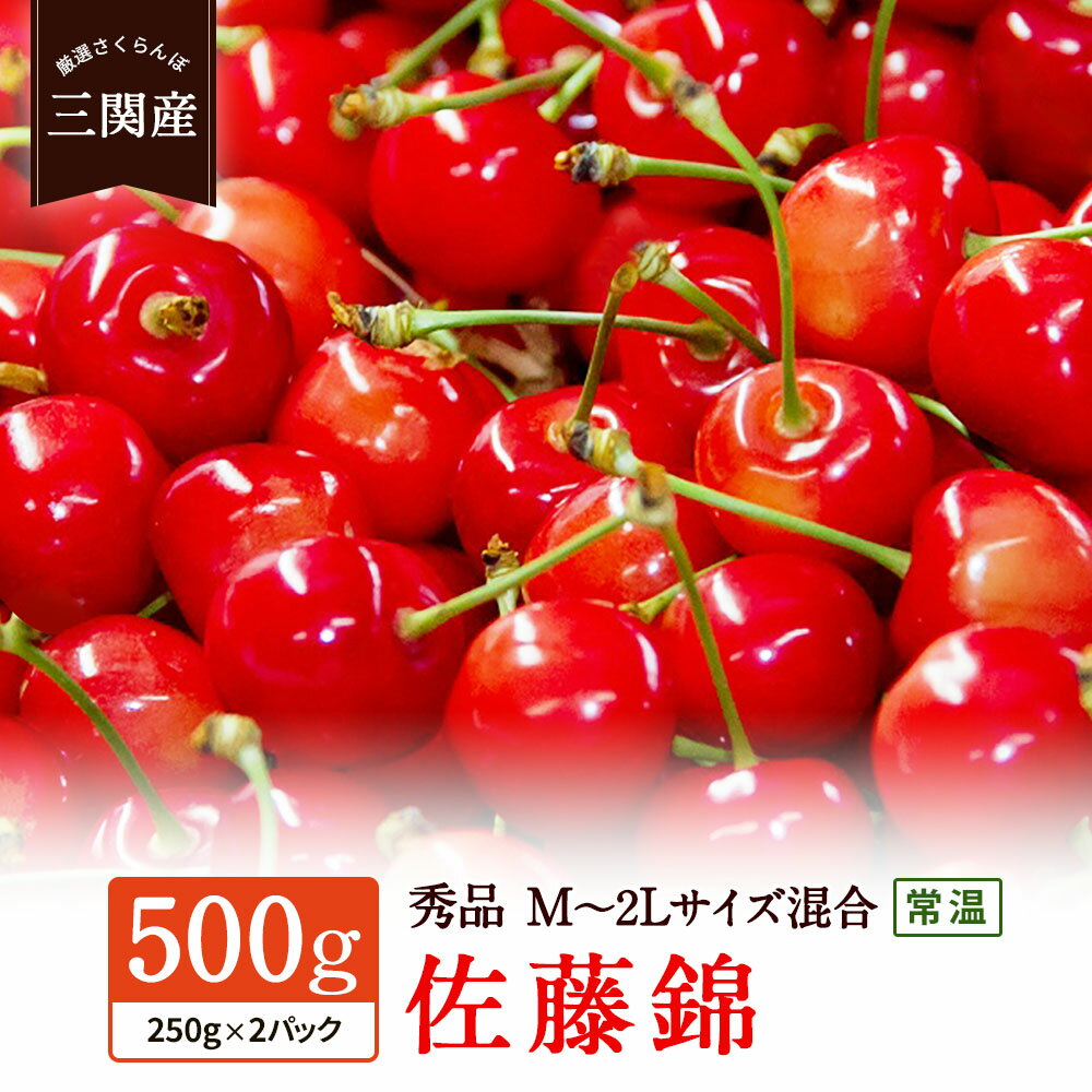 【ふるさと納税】＼朝採れ 産地直送／ R7年度産 佐藤錦 M〜2Lサイズ混合 500g (250g×2) 市場価値の高い 三関産 さくらんぼ こだわりの【常温】でお届け 小分け 訳あり 送料無料 フルーツ 果物 お取り寄せ 秋田 湯沢市 期間限定 サクランボ 数量限定 [B14602]