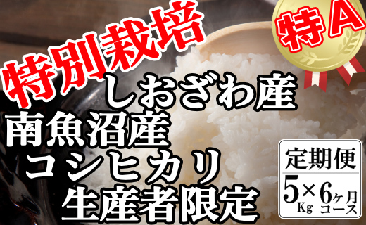【令和7年産】【定期便：5Kg×6ヶ月】特別栽培 生産者限定  南魚沼しおざわ産コシヒカリ【2025年10月上旬より順次発送予定】
