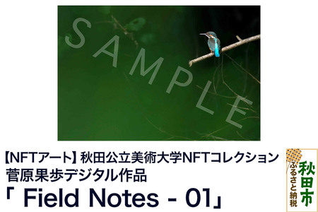 【NFTアート】《秋田公立美術大学NFTコレクション》鳥類を対象にフィールドワークや撮影を続ける菅原果歩デジタル作品「Field Notes - 01」