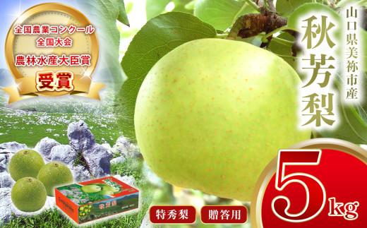 美祢市産 秋芳梨 ( 特秀梨 ) 5kg 先行予約 〈2025年8月下旬より順次発送予定〉｜二十世紀  なし 梨 フルーツ 特産品 美祢市 山口県 美祢 秋芳町 秋芳 秋芳梨 特秀 特秀梨 贈答 果物 くだもの 果実 カルスト台地 先行予約 期間限定 5kg