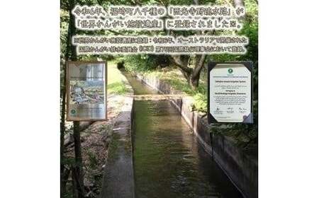 【 新米 精米 】令和7年度産　ヒノヒカリ 八千種米　お米 5kg　ごはん　兵庫県産　世界かんがい施設遺産登録『西光寺野疏水路』