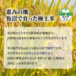 魚沼産 コシヒカリ 5kg 6ヶ月 連続お届け ( 米 定期便 お米 こめ コメ おこめ 白米 こしひかり 6回 30kg お楽しみ )