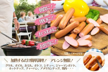 ガーリックビアソーセージ（510g×4P）沖縄ホーメル ホーメルフーズ ホーメル ギフト セット 大容量 BBQ 焼き肉 ピザ パーティー おつまみ メーカー 贈り物 プレゼント 内祝い お取り寄せ 