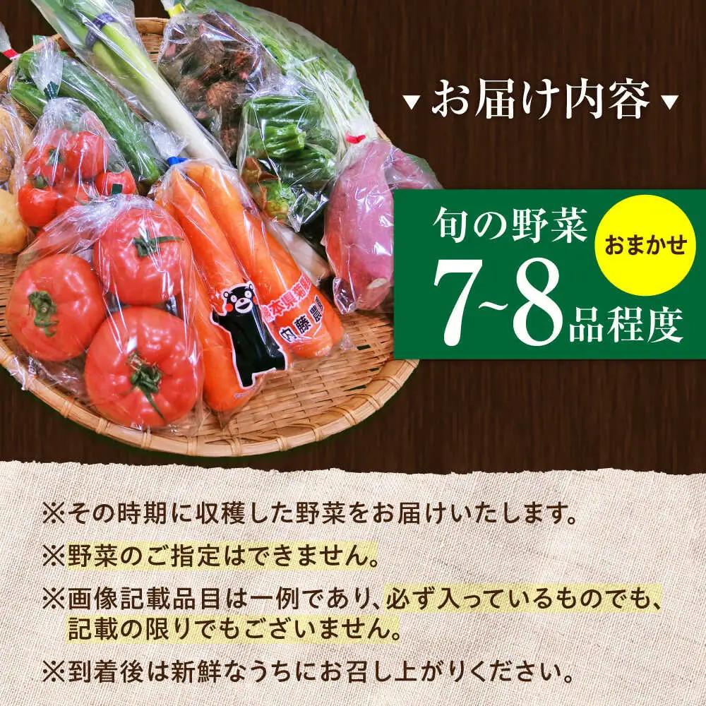 旬の 野菜 セット 約3kg/ 野菜 7-8品程度 BHAK023