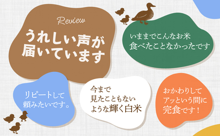 白米こしひかり ５kg 2週間以内発送 品評会を席巻した奇跡のお米 ゆうだい21 