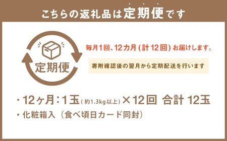【12ヶ月定期便】 静岡県産高級 アローマメロン 白等級 約1.3kg以上×中玉1玉 （合計12玉） ／ 12回定期便 メロン 青肉メロン 中玉 果物 果実 フルーツ 定期便 静岡県 菊川市 常温