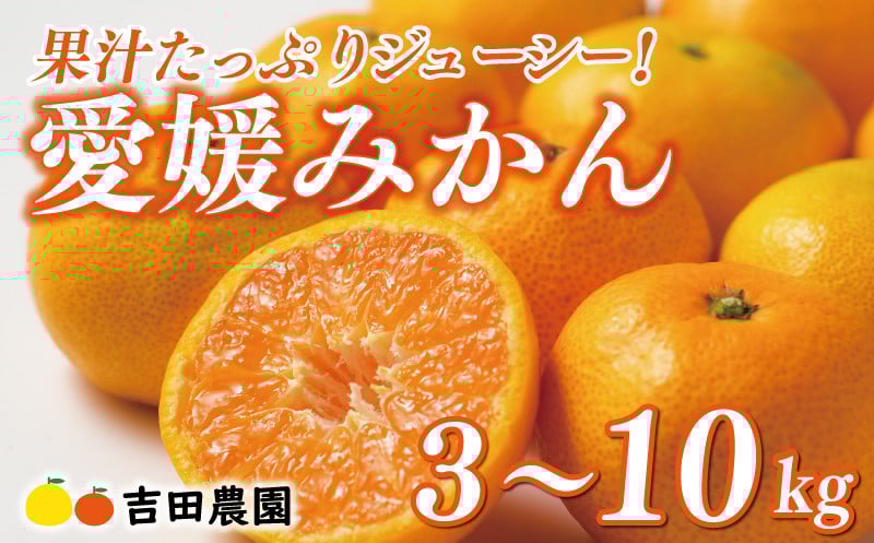 
            選べる内容量 3kg ～ 10kg 先行予約 訳あり 贈答用 愛媛みかん 3kg 5kg 10kg 7000円 9000円 10000円 愛媛 みかん 温州みかん こたつ みかん mikan 蜜柑 ミカン 家庭用 産地直送 国産 農家直送 糖度 期間限定 数量限定 特産品 ゼリー ジュース アイス 人気 限定 甘い フルーツ 果物 柑橘 美味しい おいしい お歳暮 吉田農園 愛南町 愛媛県
          
