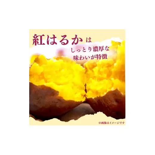 『えがお畑』で採れた紅はるか 10kg