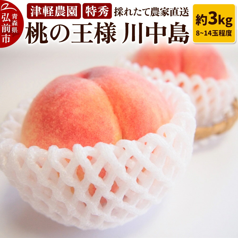 【ふるさと納税】【26年8月発送】もも【2026年産 桃の王様 川中島】特秀 約3kg 8〜14玉程度 津軽農園 採れたて 農家直送