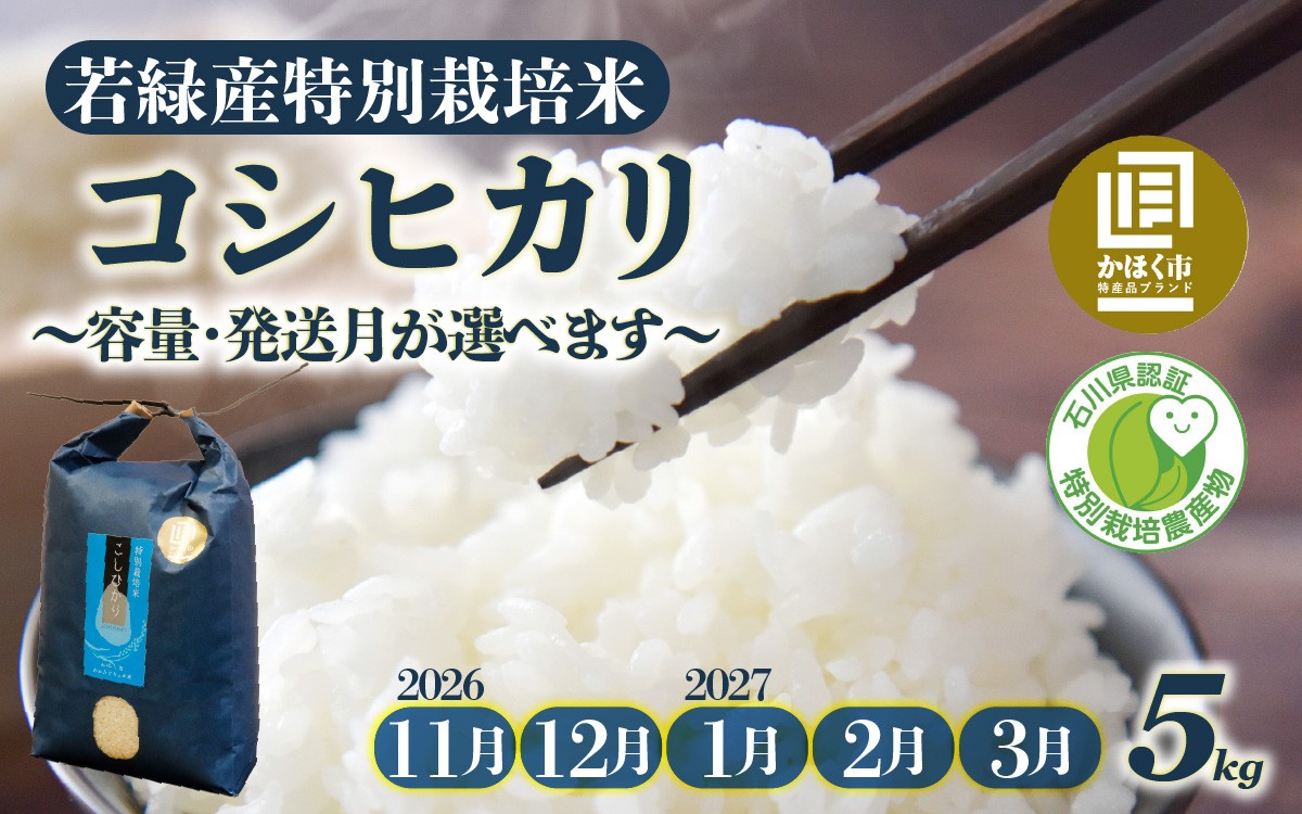 
                  【11月～3月発送】【令和8年産 新米】若緑産 特別栽培米「こしひかり」 5kg  /  令和8年産 米 単一原料米 コシヒカリ 国産 こめ コメ 白米 食品 常温 ご飯 お取り寄せ
                