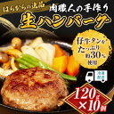 【ふるさと納税】ハンバーグ 肉職人の手作り生ハンバーグ 10個 セット はらからの逸品 牛肉 豚肉 合い挽き 小分け 冷凍 10000円　亘理町