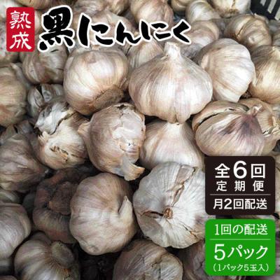 ふるさと納税 糸島市 【全6回(月2回) 定期便】熟成 黒 にんにく 5パック《糸島》【シーブ】[AHC004]