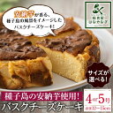 【ふるさと納税】＜サイズが選べる！＞安納芋のバスクチーズケーキ「種子島の風景」(4号or5号) スイーツ クリームチーズ 生クリーム さとうきび さつまいも 卵 乳製品 ギフト プレゼント 贈り物 手土産 誕生日 バレンタイン ホワイトデー【軽食屋はなやなぎ】