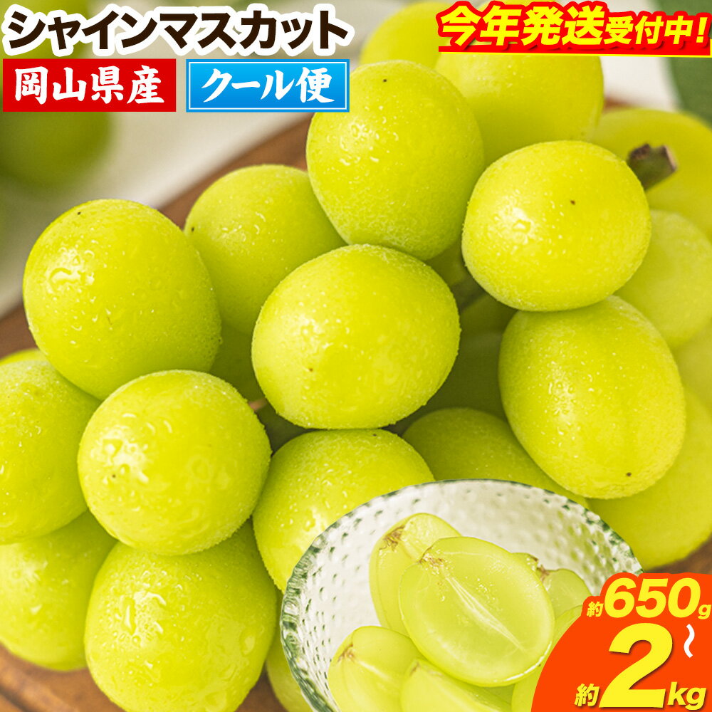 【ふるさと納税】【速攻出荷！ 3~7営業日発送】 】【限定企画が登場！】 【2025年発送、2026年予約 受付中！】シャインマスカット 岡山 約650g 1房 約1.3kg 2-3房 約2kg 3-4房 厳選 旬 ぶどう ブドウ 葡萄 マスカット 果物 フルーツ 岡山県 笠岡市《9月上旬-11月中旬頃出荷》