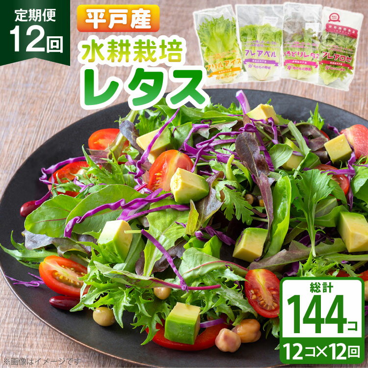 【ふるさと納税】レタス 水耕栽培 4種 12袋 セット 12回 定期便 総計144袋 食べ比べ 詰め合わせ [モロフジファーム 長崎県 平戸市 hr42bgy420175] サラダ 産地直送 個包装 小分け 野菜 フレッシュ 健康志向 緑黄色野菜