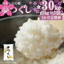 【ふるさと納税】米 ご飯 白米 精米【令和6年産】 【2か月連続定期便】宮若産 夢つくし 合計30kg 15kg（5kg×3袋）×2回 ごはん 福岡県 宮若市 国産 九州 送料無料 M447T-1