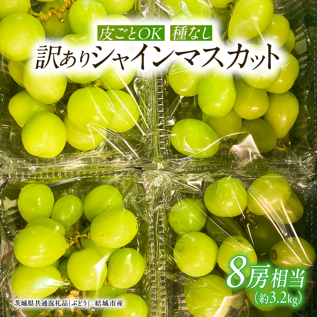 【2026年9月より発送開始】 【 訳あり 】 シャインマスカット 8房相当（約3.2kg） 田舎の頑固おやじが厳選！（茨城県共通返礼品 [ぶどう]：結城市産） 果物 フルーツ 不揃い わけあり 家庭用 ブドウ ぶどう シャイン マスカット くだもの [BI209-NT]