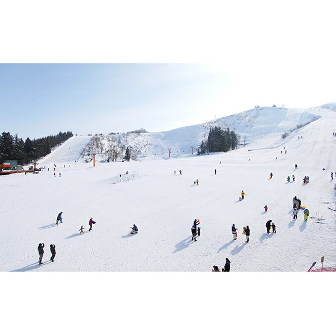 【ふるさと納税】奥只見丸山スキー場・薬師スキー場 共通シーズン券 スキーチケット 　お届け：2025年11月上旬～2026年3月下旬