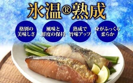 〈山陰大松〉氷温熟成　西京漬けギフトセット１０切　ＳＳＫ-10S