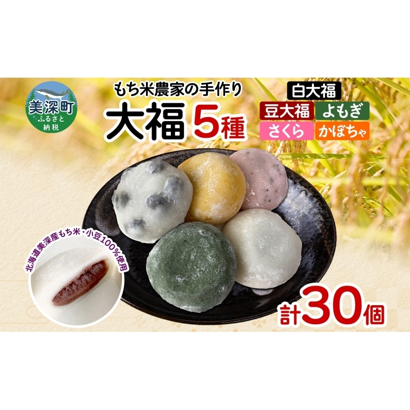 もち米農家の大福 5種 計30個 セット もち米 米 お米 大福 和菓子 お菓子 デザート モチモチ もちもち おやつ 国産もち米 国産 日本産 つきたて 冷凍 本格的 お取り寄せ ご当地 送料無料 