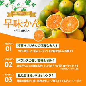 ＜先行予約受付中！2026年9月中旬以降順次発送予定＞福岡県ブランドみかん 早味かん(計約3kg) みかん ミカン オレンジ 蜜柑 はやみかん 温州 極早生 ブランド 柑橘 果物 くだもの フルーツ 