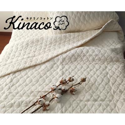 ふるさと納税 岸和田市 【シングル】kinacoオーガニックコットンガーゼケット　140×190　IV  1枚　OG-4K
