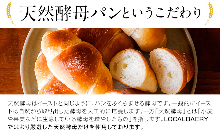 天然酵母 塩パン 10個 セット パン ローカルベーカリー《7-14営業日以内に出荷予定(土日祝除く)》焼きたてを急速冷凍 手作り 天然酵母パン 朝ごはん おやつ 軽食 ランチ 北海道 本別町---h