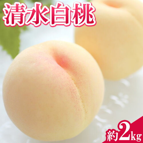 【ふるさと納税】 【先行予約】 清水白桃 約2kg 水車の里フルーツトピア《7月中旬-8月上旬頃出荷》 岡山 白桃 岡山県 矢掛町 桃 モモ 果物 スイーツ フルーツ デザート