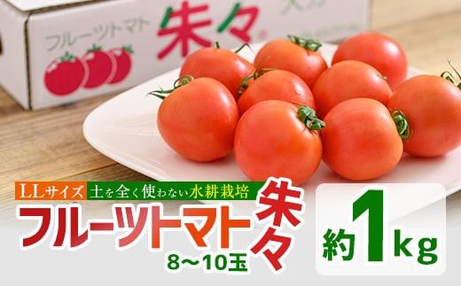 フルーツトマト 朱朱 LLサイズ (計1kg・8-10玉) LL 高糖度 糖度 フルーツトマト トマト 野菜 サラダ 大分県 佐伯市 九州産 国産 大分県 佐伯市【CH61】【(株)サニープレイス】