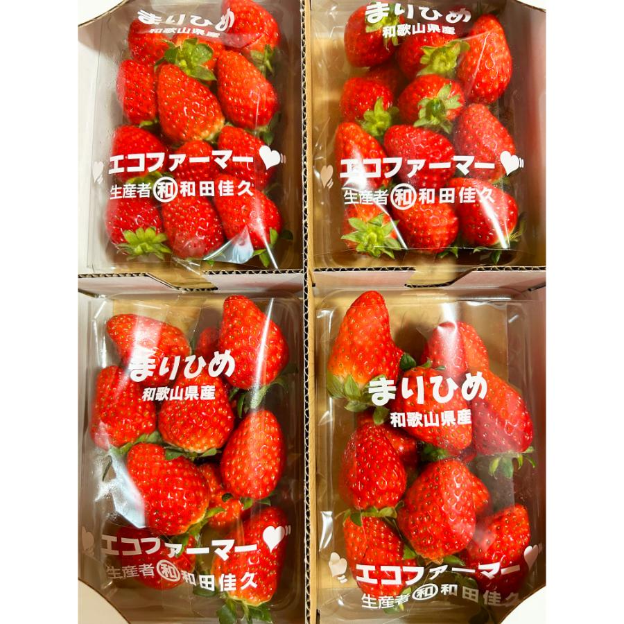 ＜魚鶴＞「苺」まりひめ　秀品250g×4パック