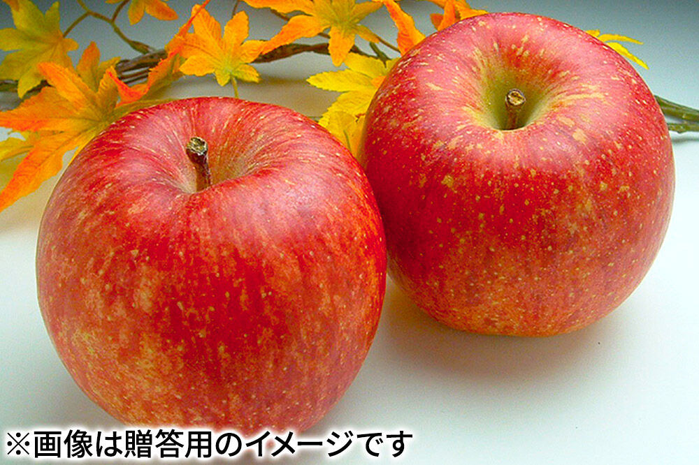 【27年2月発送】りんご サンふじ【贈答用】約3kg（9～12玉程度）糖度13度以上 先行受付 青森県産 林檎 リンゴ 果物 くだもの フルーツ 青森県 弘前市 [先行予約 産地直送 ギフト 贈り物 アップル おいしい ふじ 果実 美味 甘い]